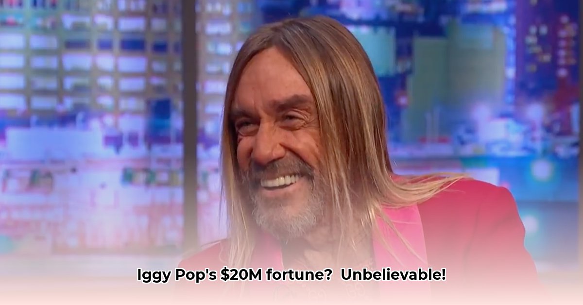 net-worth-iggy-pop